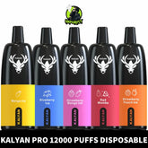 Best  Kalyan Pro 12000 Puffs Disposable Vape 50mg in Dubai, UAE